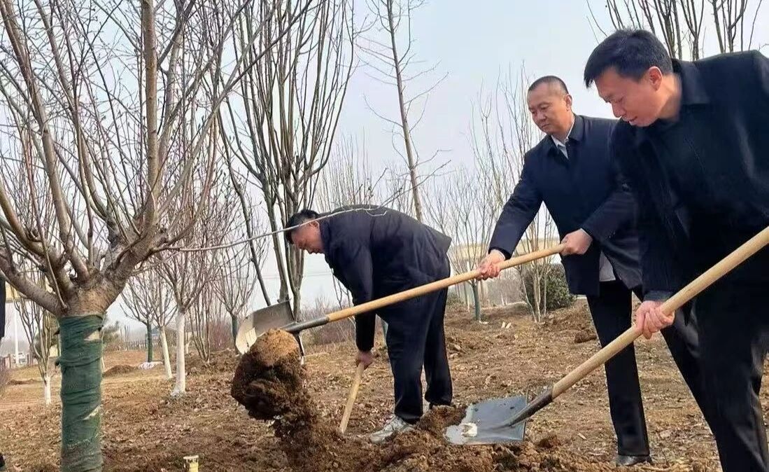 3172b7eb8a5d570dd6738f9827f7bcb0 3172b7eb8a5d570dd6738f9827f7bcb0