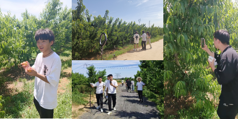 数字赋能 科技兴农——经济管理学院“数字兴农实践团队”走进灵寿2023